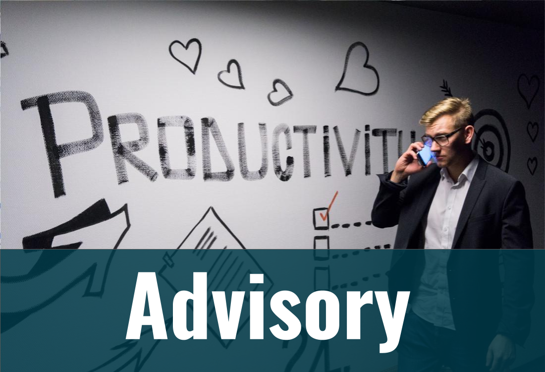 Service Now Advisory And Support